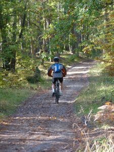 Balade dans les chemins de la foret