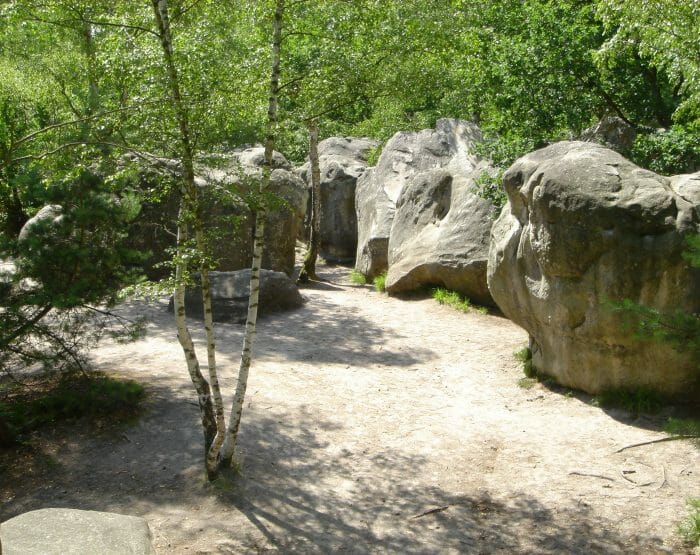 Blocs d'escalade en foret de Fontainebleau.JPG Pas moins de 7 catégories de circuits et de blocs à conquérir pour combler chacun d'entre vous.