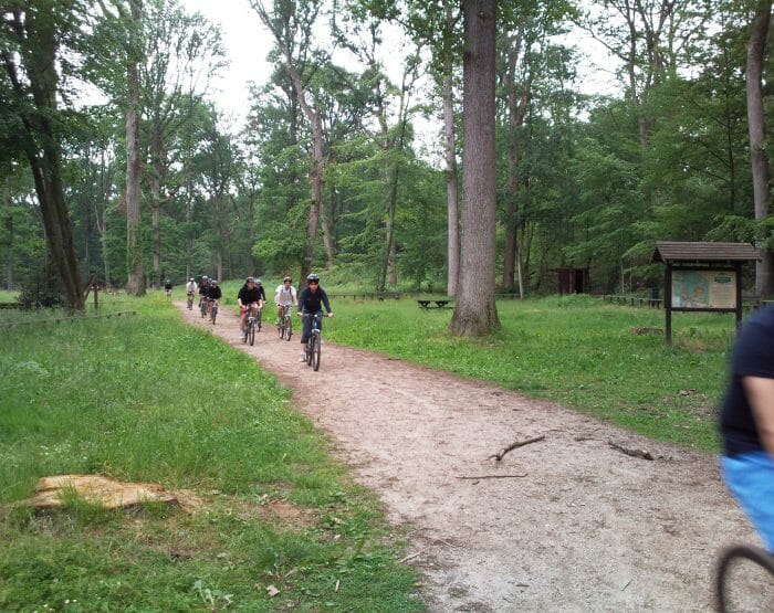 Découverte des bords du Loing et de la foret de Fontainebleau