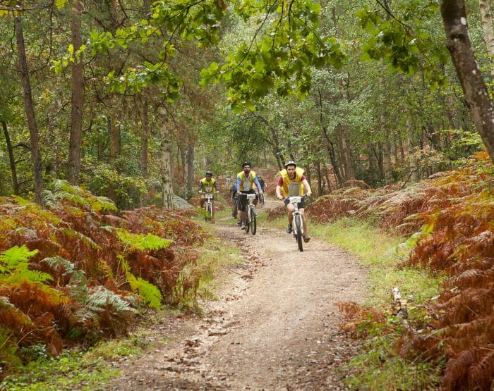 EDR- Raid 2014