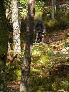 VTT dans les bois