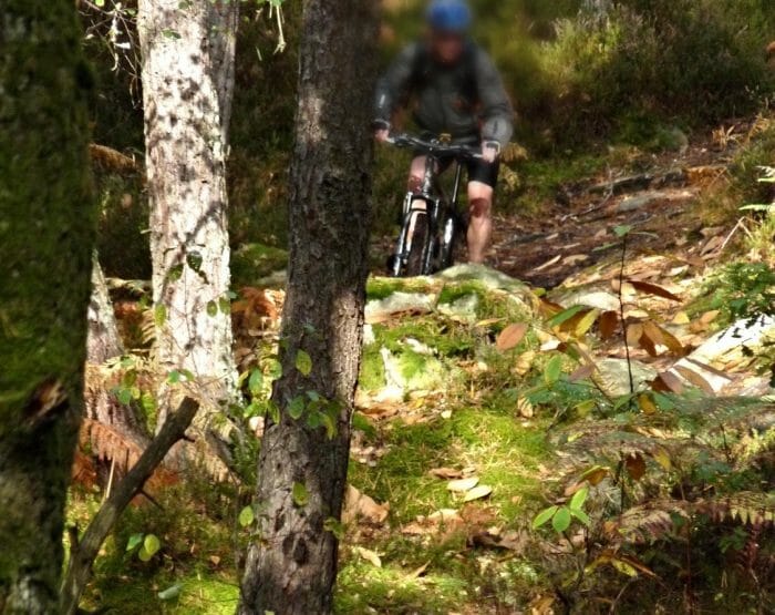 VTT dans les bois