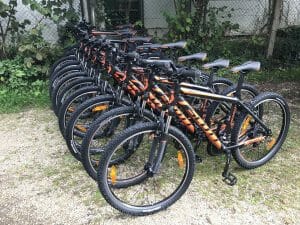 VTT