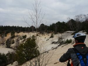 VTT