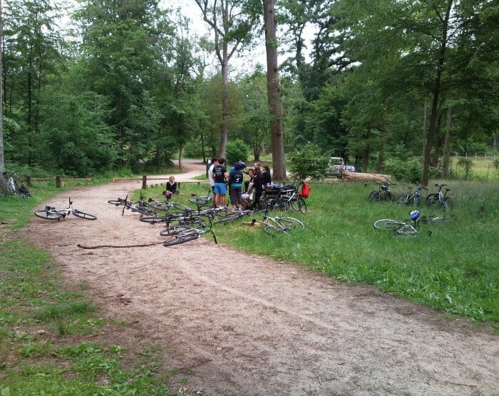 Sortie scolaire en foret de Fontainebleau