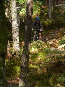 Randonnée VTT en Foret de Fontainebleau.JPG