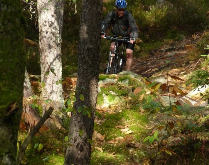 Randonnée VTT en Foret de Fontainebleau.JPG