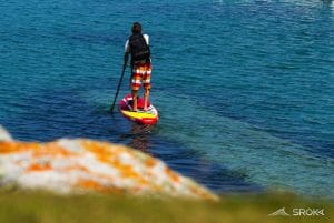 Venez découvrir la descente du Loing en Paddle