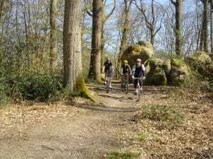 VTT à travers les Chaos rocheux de Fontainebleau