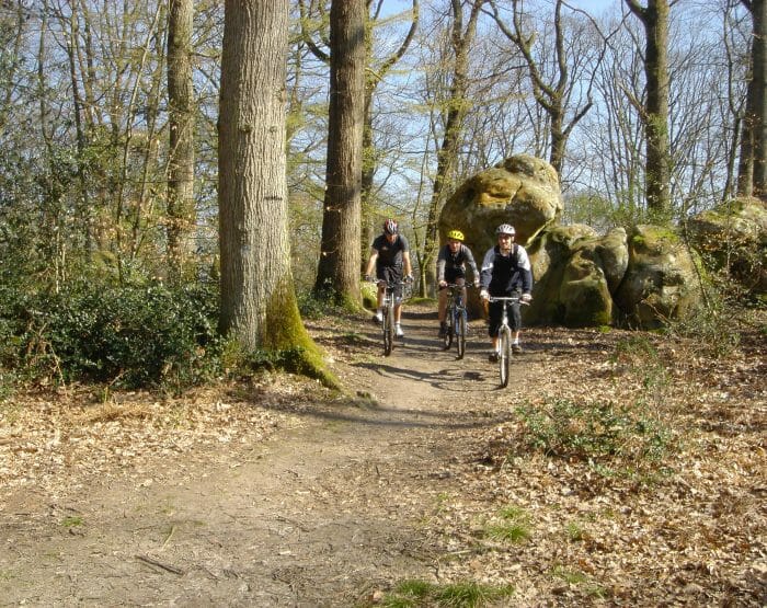 VTT à travers les Chaos rocheux de Fontainebleau