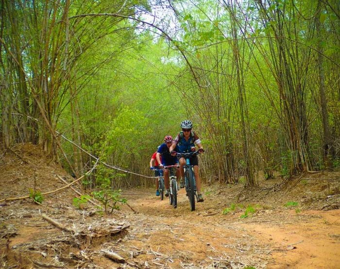 Découverte parfois un peu sportive de la foret de Fontainebleau